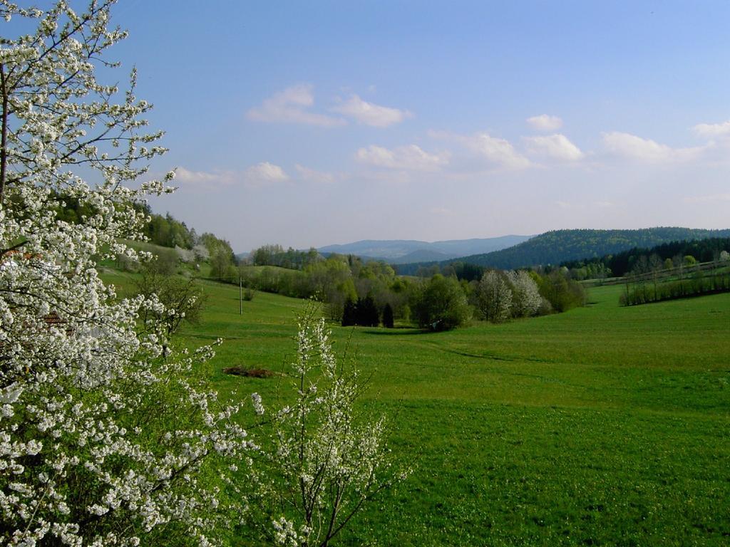 Kirchdorf im Wald Landhaus Wildfeuer מראה חיצוני תמונה
